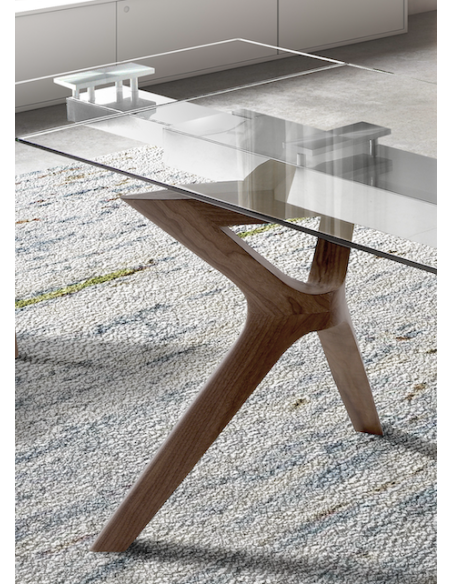 LIN EXT GLASS