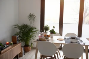 Hogar moderno orgánico