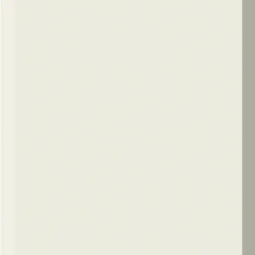  Gris Opaco