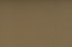  Biosense Beige
