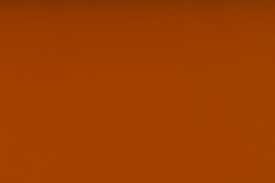  Biosense Orange