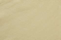  Vinci Beige Okwe